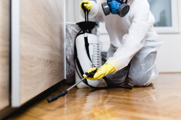 Best Pest Control Near Me  in Holt, MI