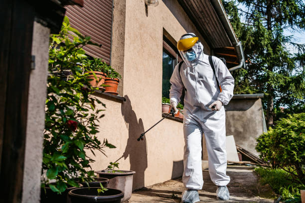 Best Cockroach Control Services  in Holt, MI