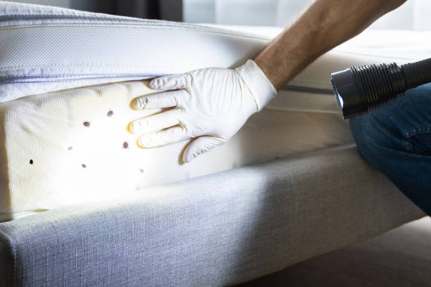 Best Best Pest Control Companies  in Holt, MI