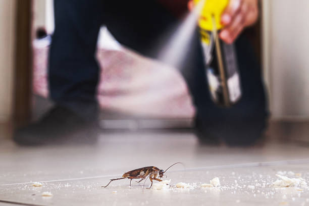 Best Exterminator Services  in Holt, MI